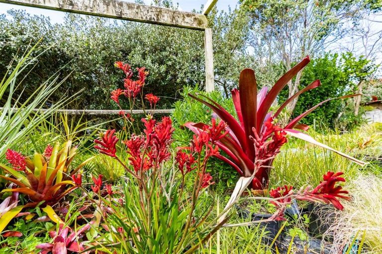 Photo of property in 656 One Tree Point Road, Ruakaka, Whangarei, 0171