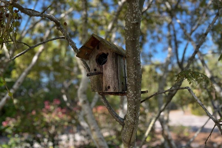 Photo of property in 19 Scott Street, Tuatapere, 9620