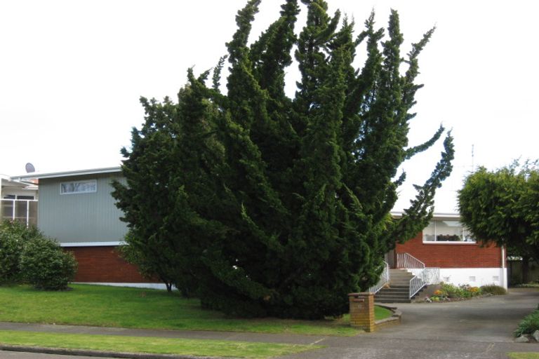 Photo of property in 17 Pouwhare Street, Whakatane, 3120