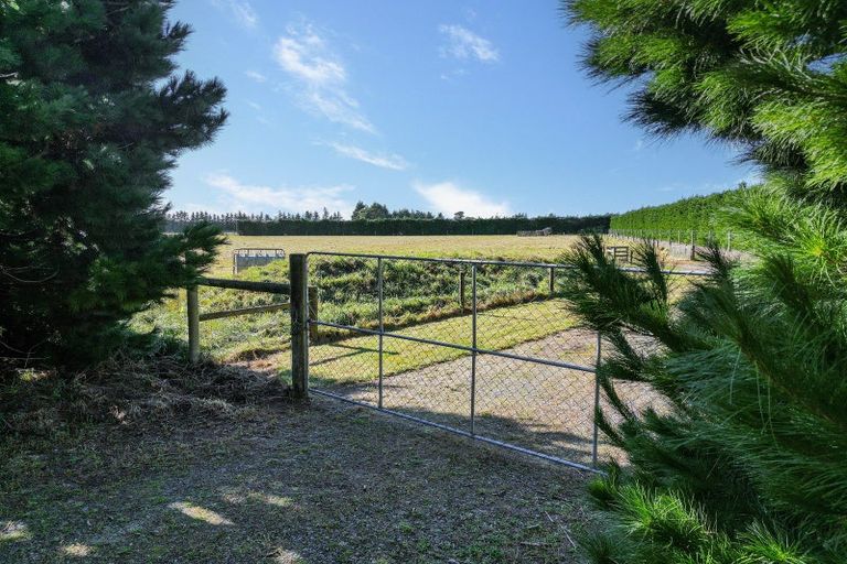 Photo of property in 910 Depot Road, Burnt Hill, Oxford, 7495