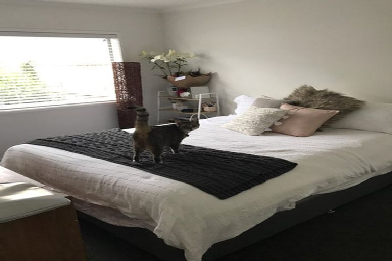 Photo of property in 29a Baverstock Road, Nawton, Hamilton, 3200