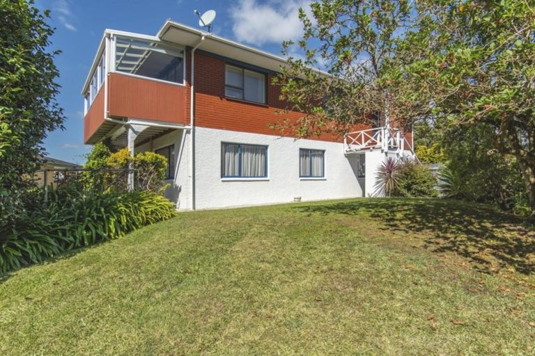 Photo of property in 58 Hammond Street, Hairini, Tauranga, 3112