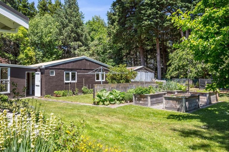 Photo of property in 414 Rakaiatai Road, Ormondville, Dannevirke, 4977