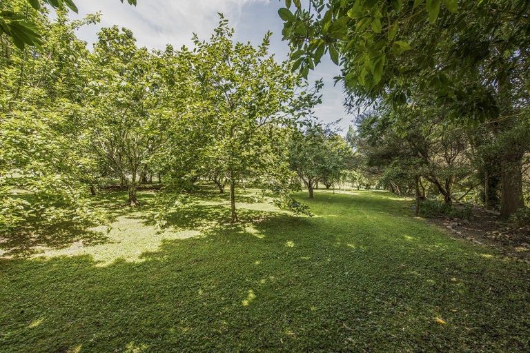 Photo of property in 32 Hadfield Road, Peka Peka, Waikanae, 5391