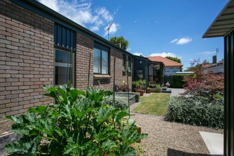 Photo of property in 36a Princes Street, Cambridge, 3434