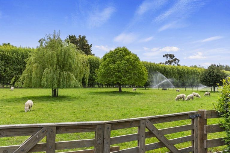 Photo of property in 256 Heywards Road, Clarkville, Kaiapoi, 7692