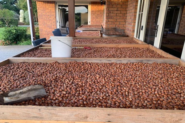 Photo of property in 973 Hoskyns Road, West Melton, Christchurch, 7671