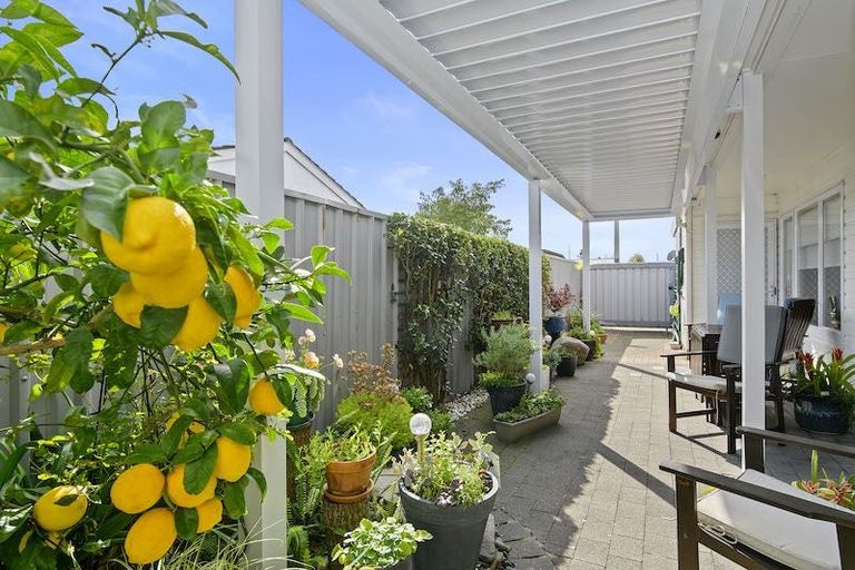 Photo of property in 36a Malfroy Road, Victoria, Rotorua, 3010