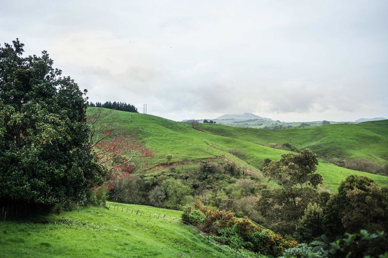 Photo of property in 92 Mountain View Road, Otorohanga, 3900