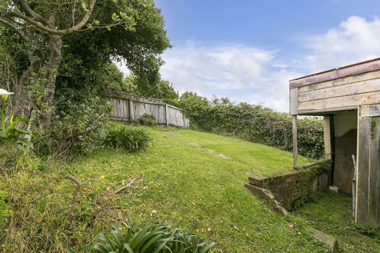 Photo of property in 117 Waipapa Road, Hataitai, Wellington, 6021
