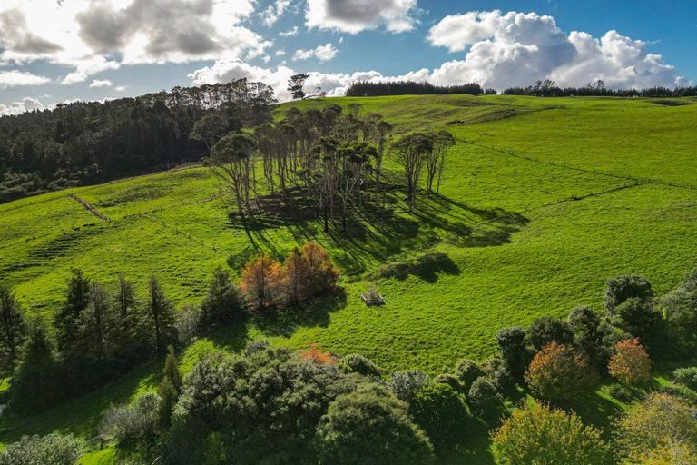 Photo of property in 487 Kanohi Road, Kaukapakapa, 0873