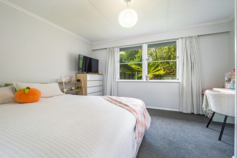 Photo of property in 47 Alfred Street, Roslyn, Palmerston North, 4414