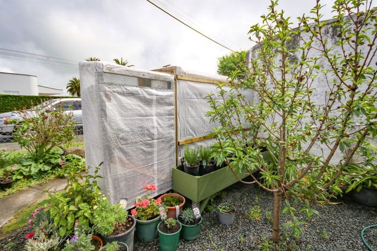 Photo of property in 13 Jellicoe Road, Ruawai, 0530