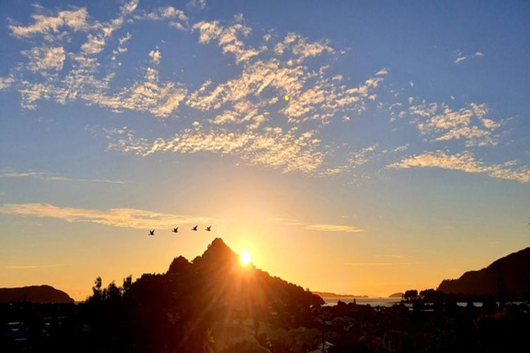 Photo of property in 317 Main Sh25 Road, Tairua, 3508