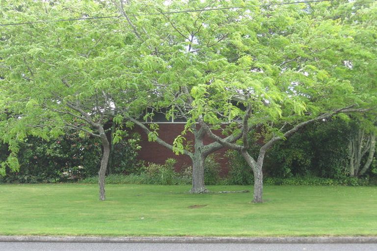 Photo of property in 13 Kingsley Street, Leamington, Cambridge, 3432