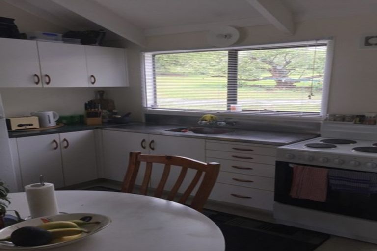 Photo of property in 50 Youngson Road, Whakamarama, Tauranga, 3180