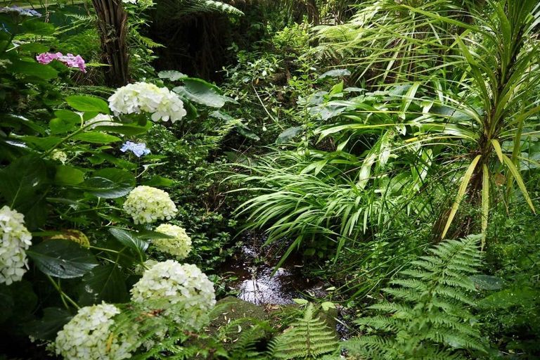 Photo of property in 9 Langley Place, Raglan, 3225