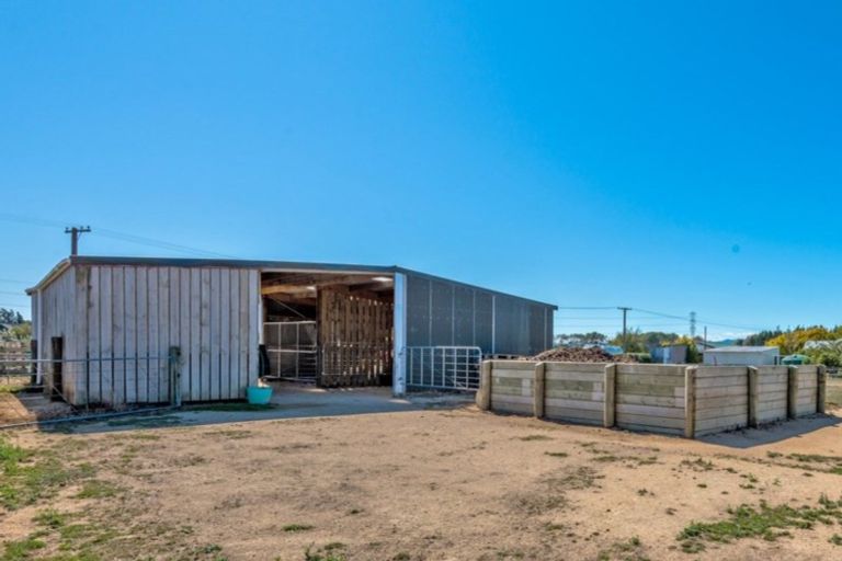 Photo of property in 164a Awahuri Feilding Road, Feilding, 4775