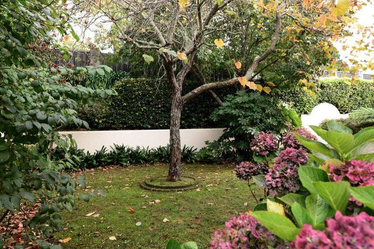 Photo of property in 8 Stella Place, Chartwell, Hamilton, 3210