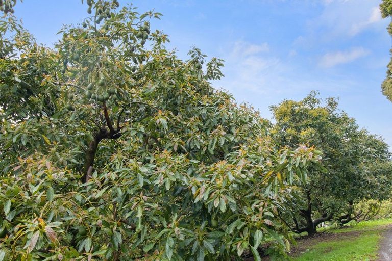 Photo of property in 6a Woodland Road, Tahawai, Katikati, 3170