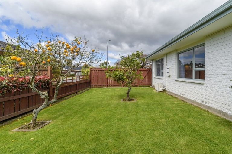 Photo of property in 135 Te Hono Street, Maungatapu, Tauranga, 3112