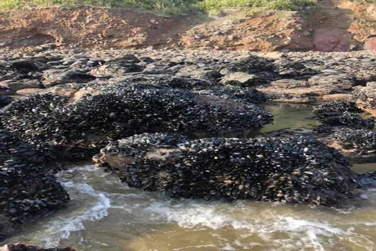 Photo of property in 63 Kai Iwi Lakes Road, Omamari, Dargaville, 0373