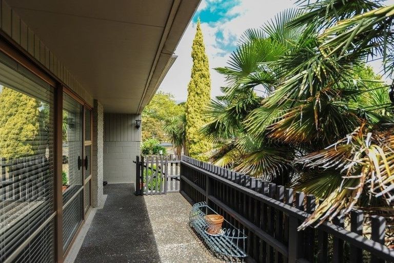 Photo of property in 21 Mchardy Street, Havelock North, 4130