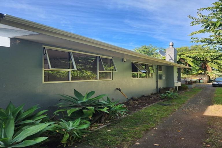 Photo of property in 49 Pitcairn Street, Oakura, 4314