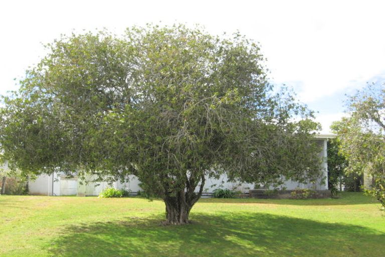 Photo of property in 314 Bellona Road, Whangamata, 3620