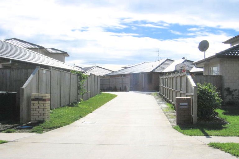 Photo of property in 159 Cyril French Drive, Flat Bush, Auckland, 2016