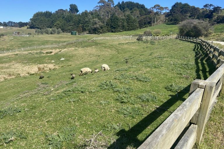 Photo of property in 64 Raglan Road, Kawhia, 3878