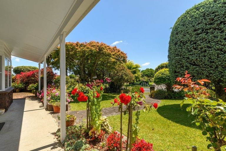 Photo of property in 126 Waratah Street, Matua, Tauranga, 3110