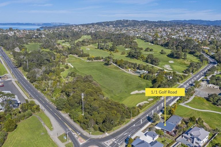 Photo of property in 1/1 Golf Road, New Lynn, Auckland, 0600