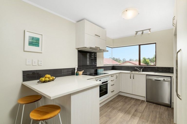 Photo of property in 7b Mansfield Street, Hairini, Tauranga, 3112