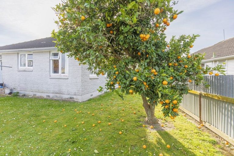 Photo of property in 40 Mason Avenue, Maraenui, Napier, 4110