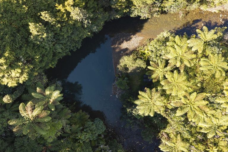 Photo of property in 251 Old Coach Road, Kaimarama, Whitianga, 3591