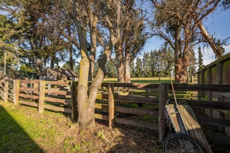 Photo of property in 277 Marshmans Road, Ashley, Rangiora, 7477