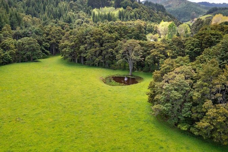 Photo of property in 858 Kaipara Flats Road, Kaipara Flats, Warkworth, 0981