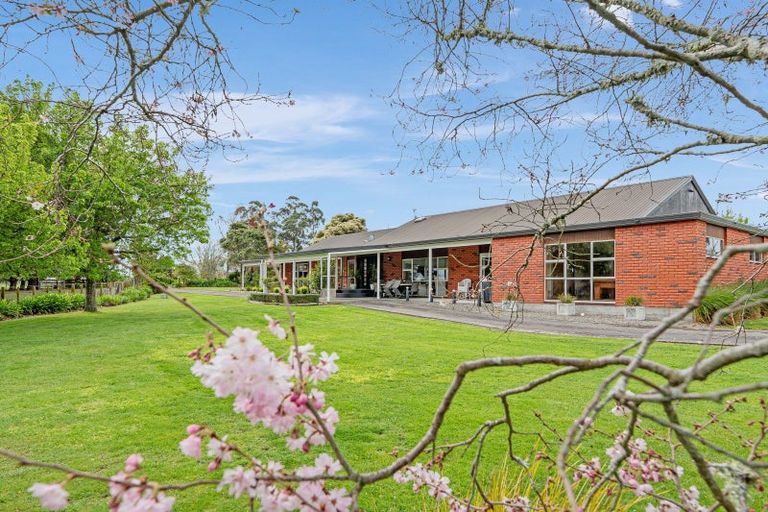 Photo of property in 245 Halcombe Road, Feilding, 4775