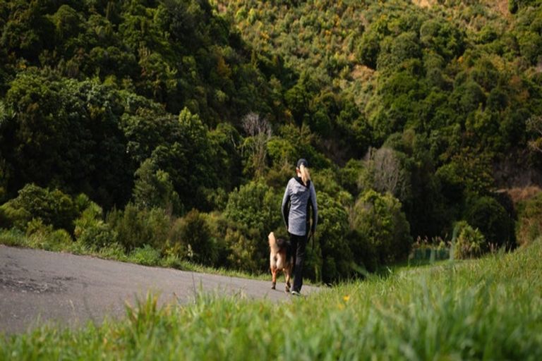 Photo of property in 60 Rochdale Drive, Churton Park, Wellington, 6037