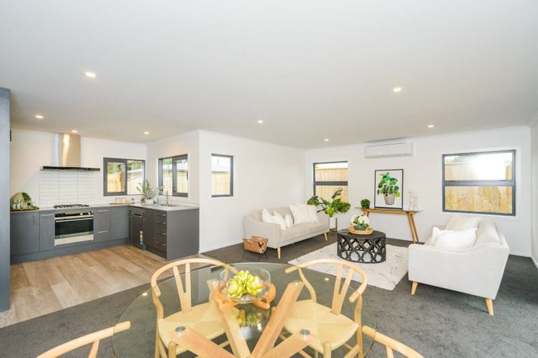 Photo of property in 22 Highbury Avenue, Highbury, Palmerston North, 4412