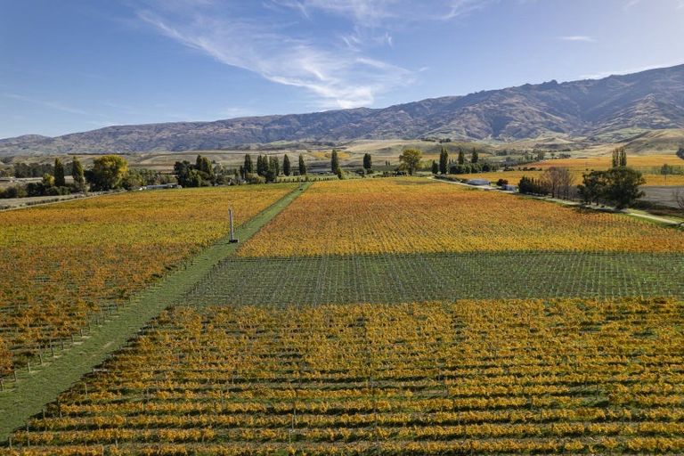 Photo of property in 1034 Luggate-cromwell Road, Mount Pisa, Cromwell, 9383