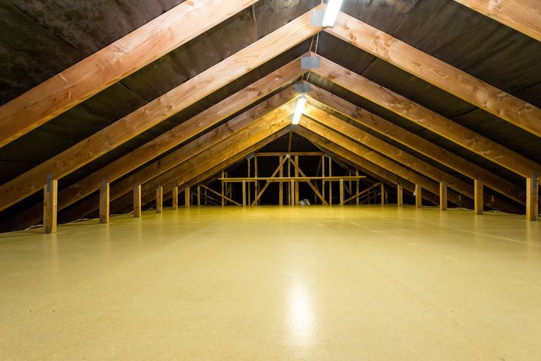 Photo of property in 185 Shetland Street, Wakari, Dunedin, 9010