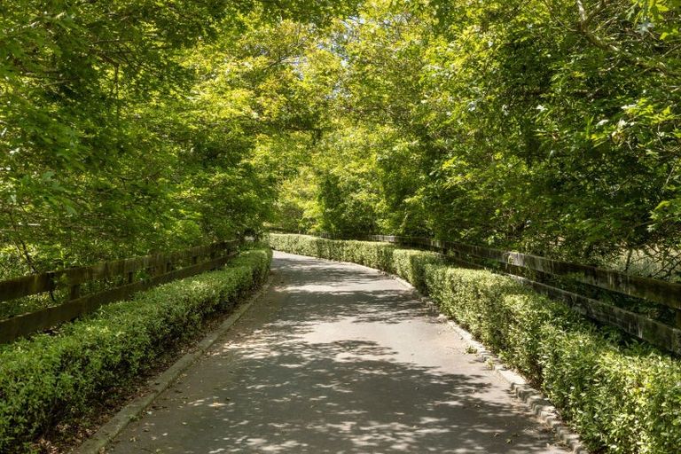 Photo of property in 227 Heard Road, Waihi, 3681