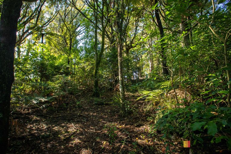 Photo of property in 166b Heard Road, Waihi, 3681