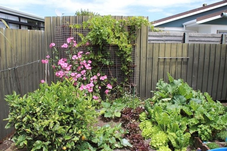 Photo of property in 5a Avon Place, Springvale, Whanganui, 4501