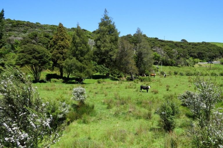 Photo of property in 880 Colville Road, Amodeo Bay, Coromandel, 3584