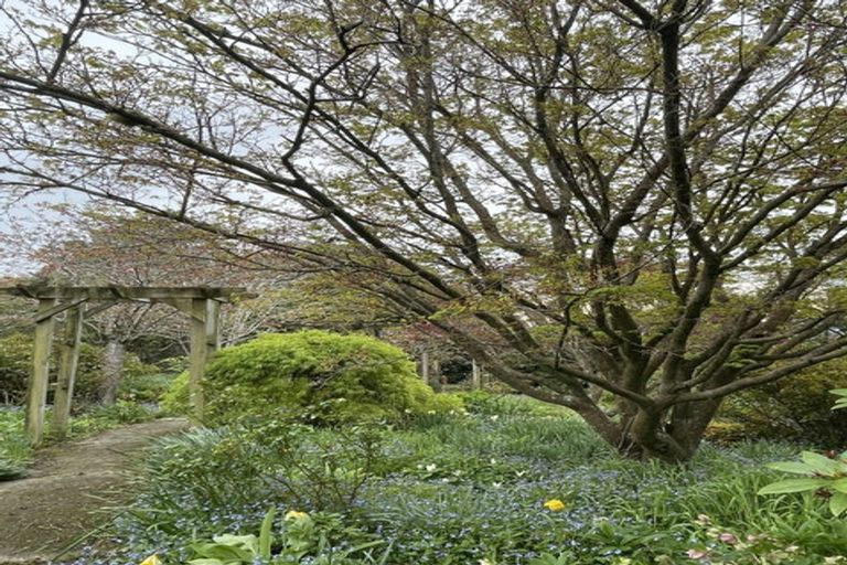 Photo of property in 162 Gladstone Road North, Mosgiel, 9024