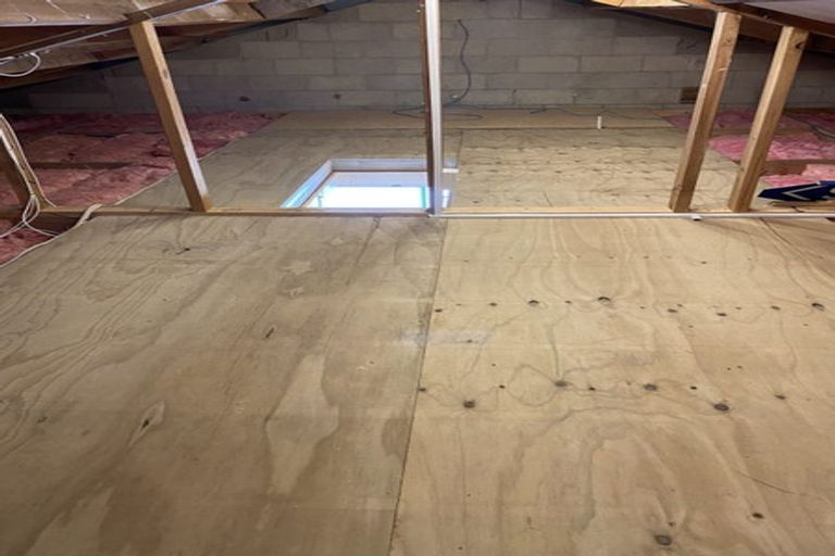 Photo of property in 11 Flower Street, Fairfield, Dunedin, 9018