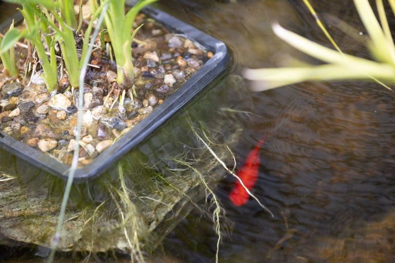 Photo of property in 93 Gibson Lane, Te Awamutu, 3800